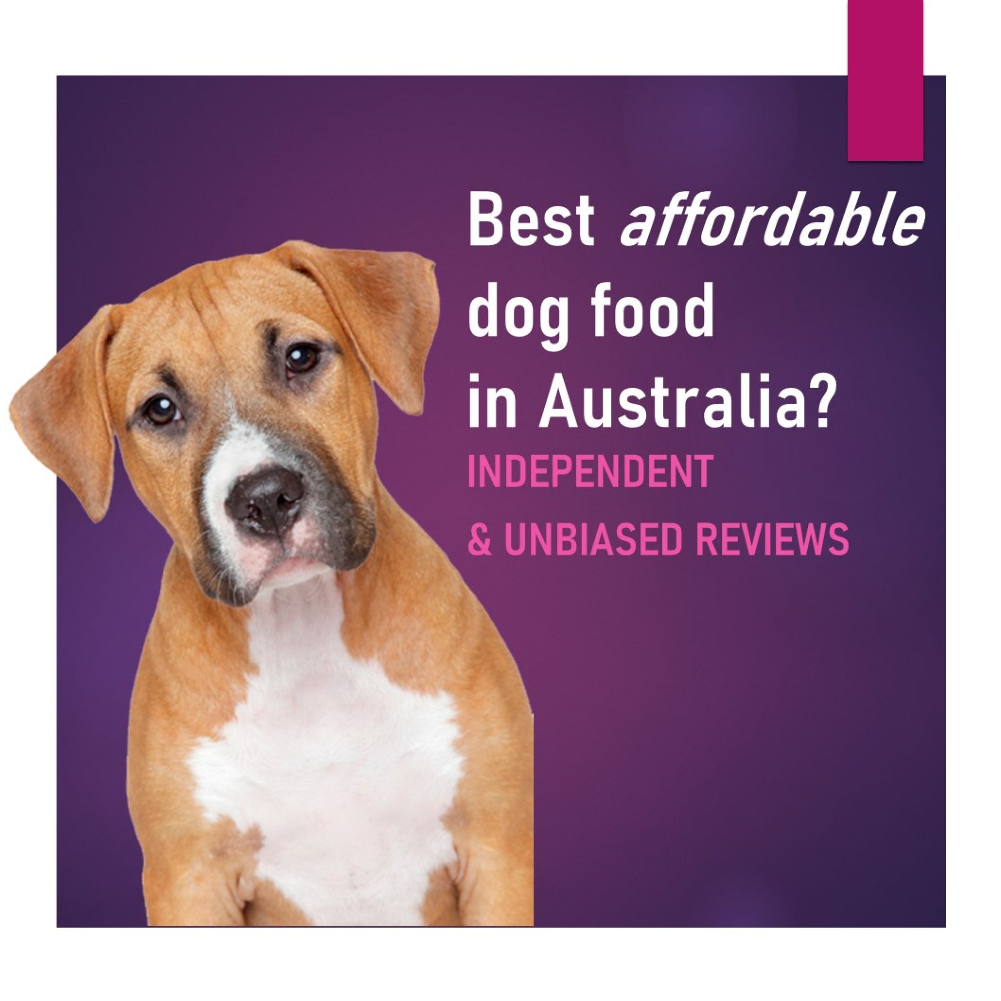 Best Affordable Dog Food in Australia