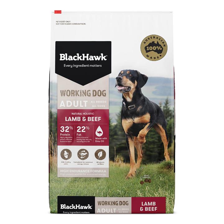 Black sales hawk dog