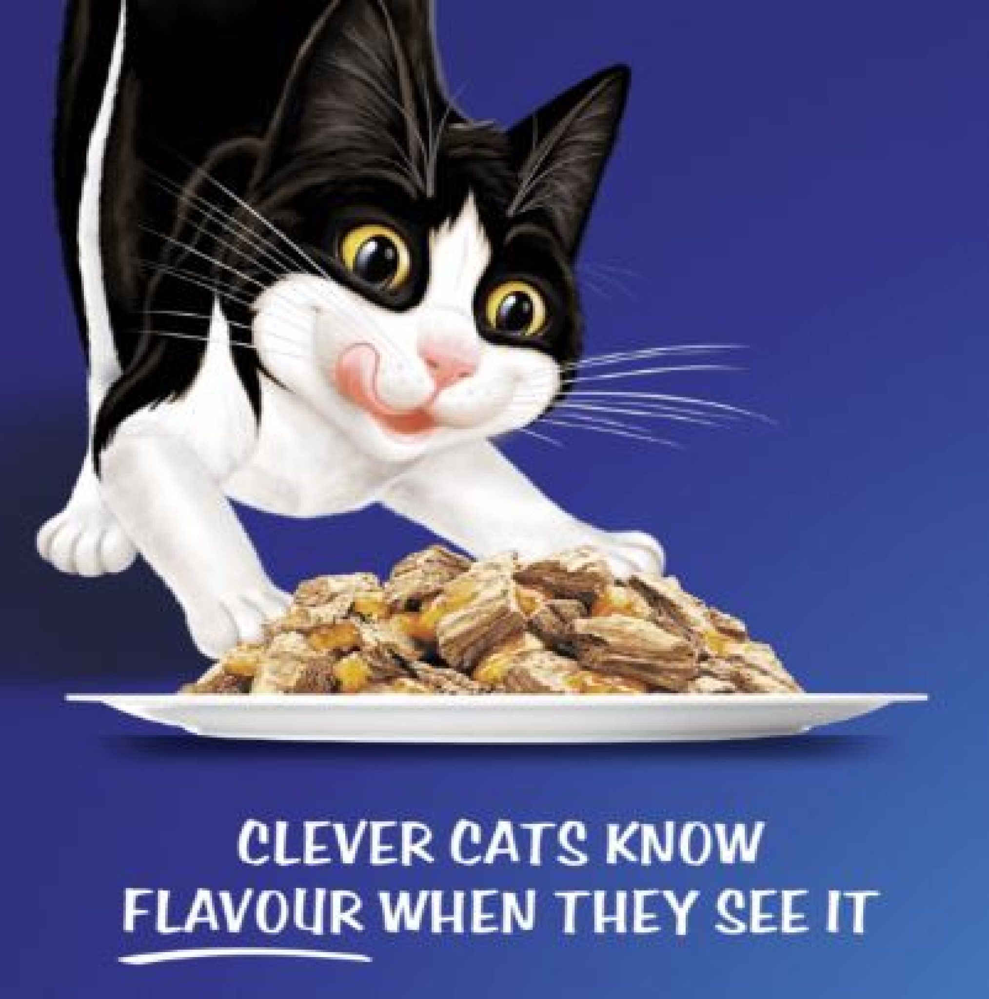 Felix Cat Food Review