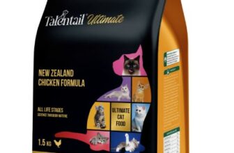 Kirkland Signature Nature s Domain Cat Food Review