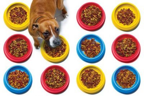 Dog Food Brands To Avoid 2021 Pet Food Reviews Australia