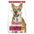 Hills Adult Dry Dog Food