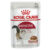 Royal Canin Adult Gravy Wet Cat Food