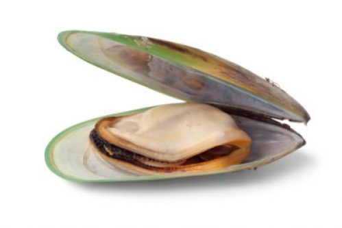 Green Lipped Mussels (2021) | Pet Food Reviews (Australia)